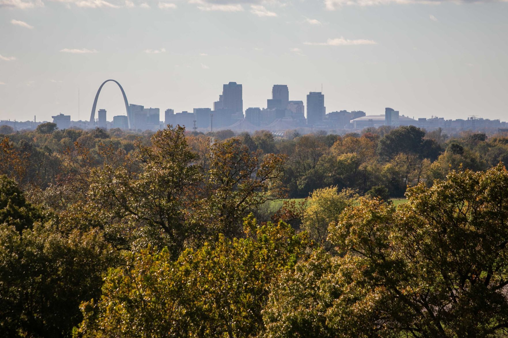 Fall colors from Cahokia Mounds